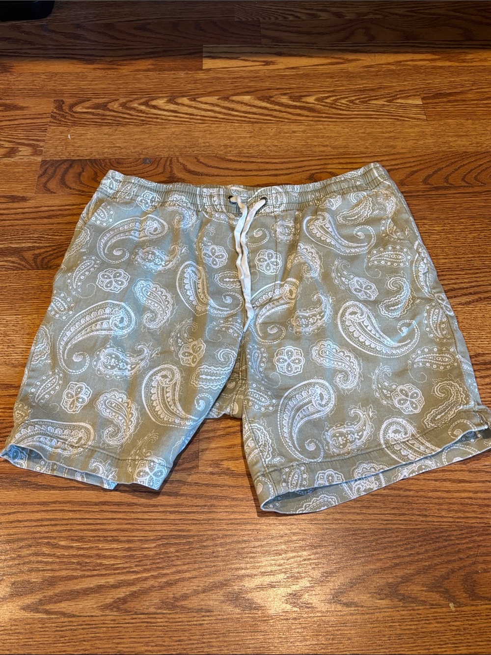 PacSun Olive Green Paisley Swim Trunks